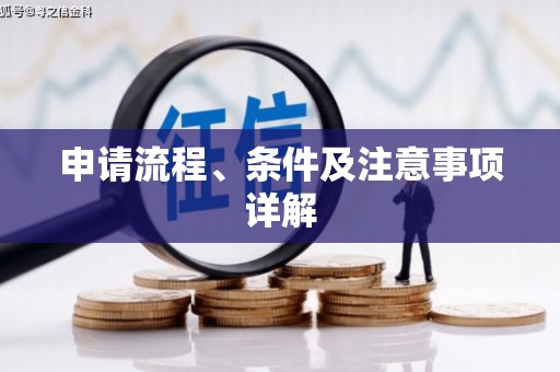 醴陵申请流程、条件及注意事项详解
