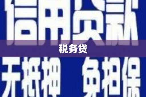 醴陵税务贷