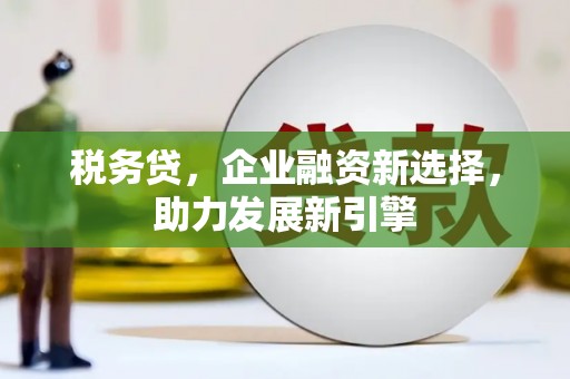 醴陵税务贷，企业融资新选择，助力发展新引擎