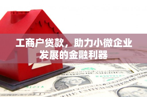 醴陵工商户贷款，助力小微企业发展的金融利器