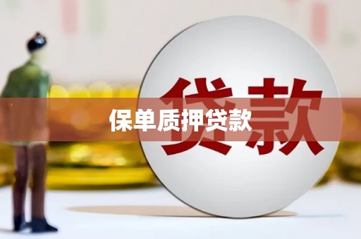 醴陵保单质押贷款