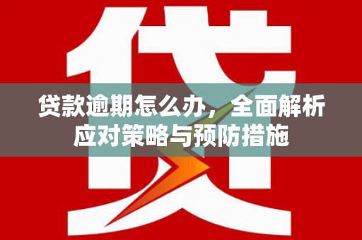 醴陵贷款逾期怎么办，全面解析应对策略与预防措施