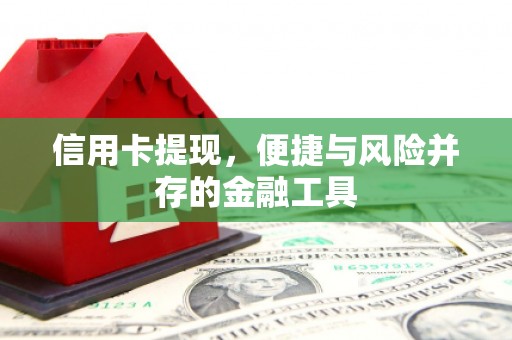 醴陵信用卡提现，便捷与风险并存的金融工具