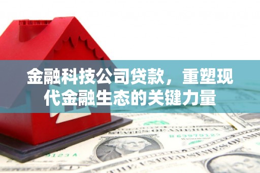 醴陵金融科技公司贷款，重塑现代金融生态的关键力量