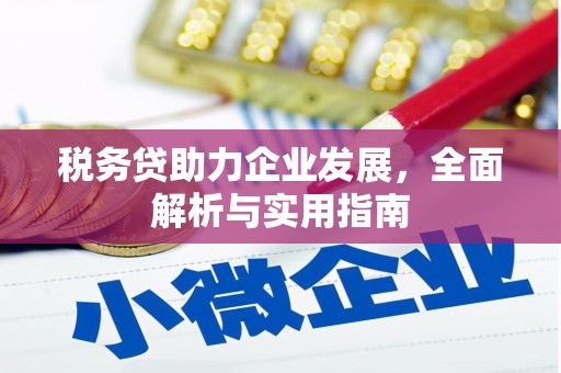 醴陵税务贷助力企业发展，全面解析与实用指南