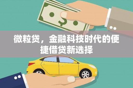 醴陵微粒贷，金融科技时代的便捷借贷新选择