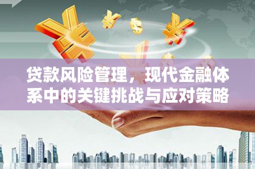 醴陵贷款风险管理，现代金融体系中的关键挑战与应对策略