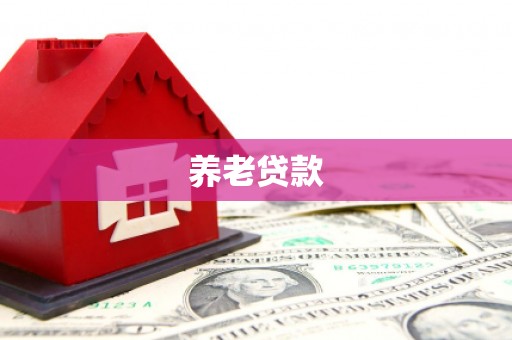 醴陵养老贷款