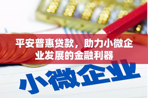 醴陵平安普惠贷款，助力小微企业发展的金融利器