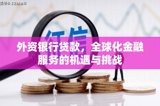 醴陵外资银行贷款，全球化金融服务的机遇与挑战
