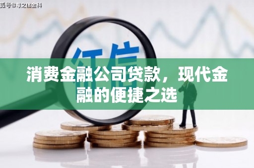 醴陵消费金融公司贷款，现代金融的便捷之选